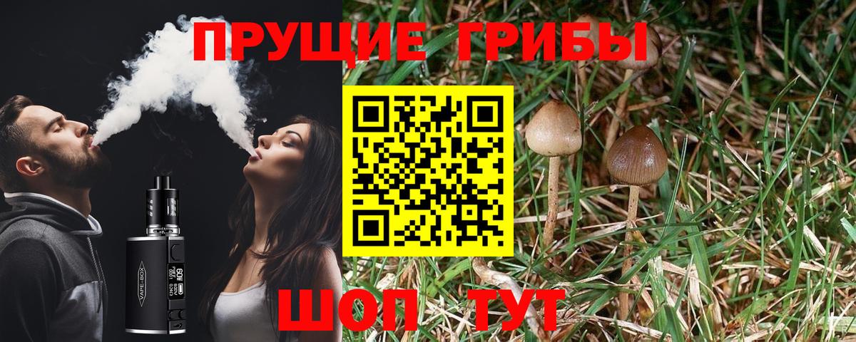 Галлюциногенные грибы прущие грибы Стерлитамак